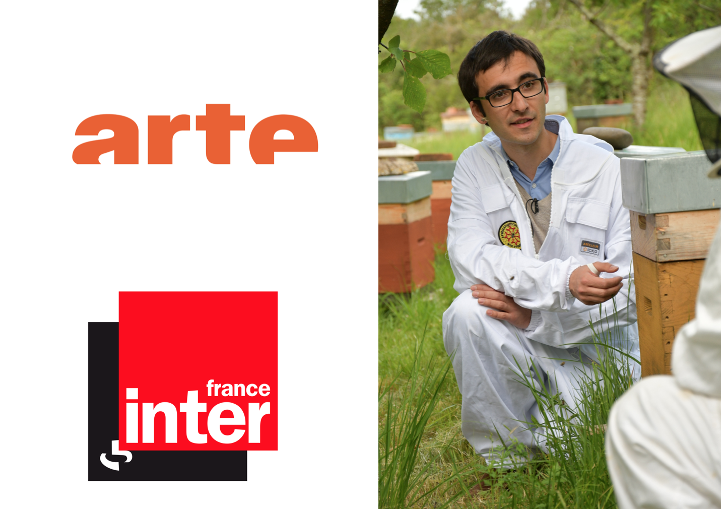 Suite de l’action « abeilles mortes » dans les médias
