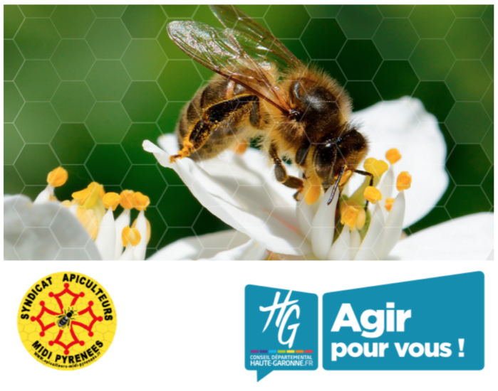 Soirée mensuelle avec Jean-Claude Ameisen « Abeilles, merveilleuses abeilles »
