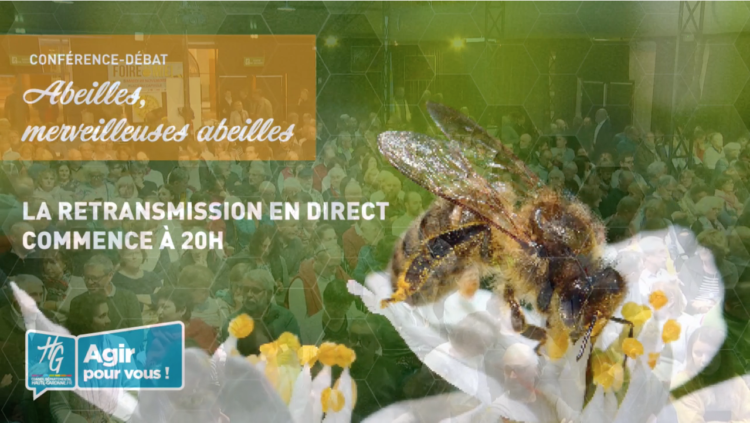 Revoir la conférence de Jean-Claude Ameisen » Abeilles, merveilleuses abeilles »